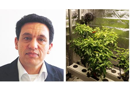 Prof. Jelali im Interview zum Forschungsschwerpunkt „Vertical Indoor-Farming“