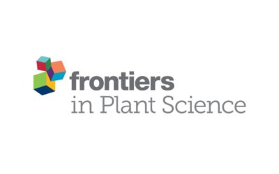 Erster Review-Artikel in FRONTIERS IN PLANT SCIENCE erschienen!